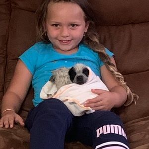 Meet your Posher, Alex